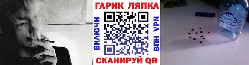 ГАШ Изолятор  Лесной 