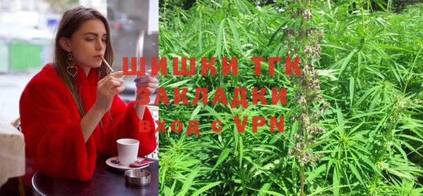 таблы Алзамай