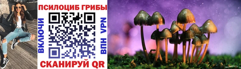 Псилоцибиновые грибы Cubensis  Лесной 