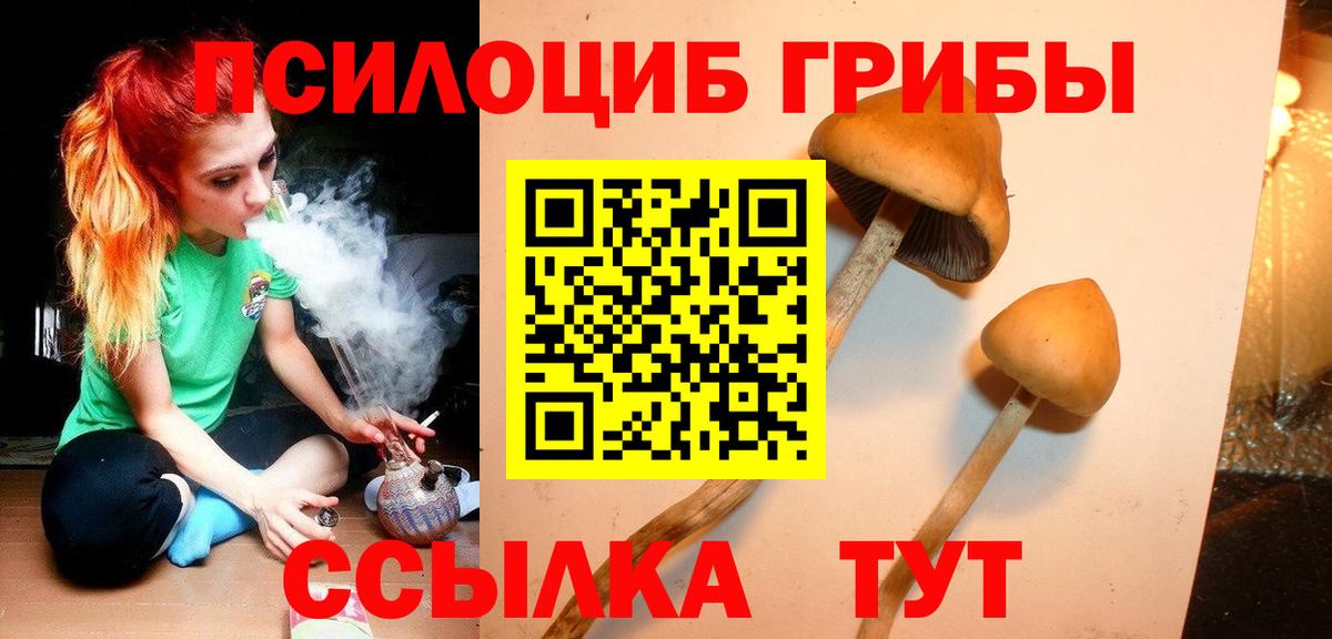Галлюциногенные грибы Psilocybe Лесной
