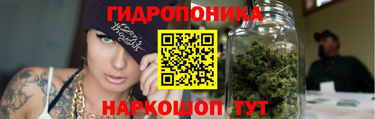 МАРИХУАНА план  Вход с VPN  Лесной  Бошки Шишки сатива 